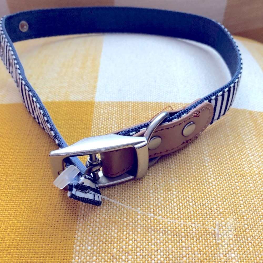 BRAND NEW Dog Collar